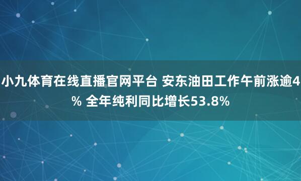 小九体育在线直播官网平台 安东油田工作午前涨逾4% 全年纯利同比增长53.8%