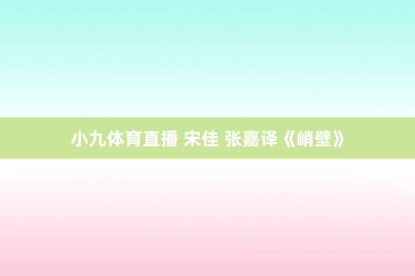 小九体育直播 宋佳 张嘉译《峭壁》