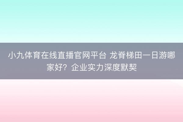 小九体育在线直播官网平台 龙脊梯田一日游哪家好?企业实力深度默契