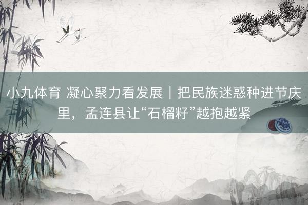 小九体育 凝心聚力看发展｜把民族迷惑种进节庆里，孟连县让“石榴籽”越抱越紧