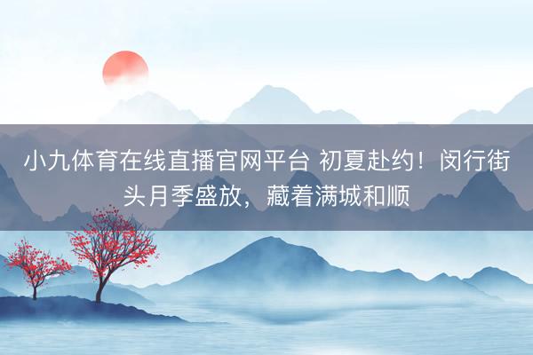 小九体育在线直播官网平台 初夏赴约！闵行街头月季盛放，藏着满城和顺