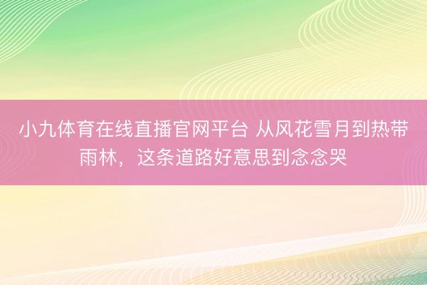 小九体育在线直播官网平台 从风花雪月到热带雨林，这条道路好意思到念念哭