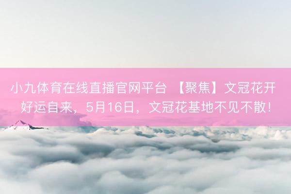 小九体育在线直播官网平台 【聚焦】文冠花开 好运自来，5月16日，文冠花基地不见不散！