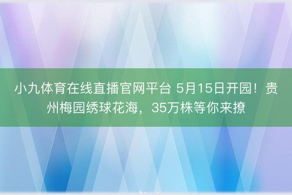 小九体育在线直播官网平台 5月15日开园！贵州梅园绣球花海，35万株等你来撩