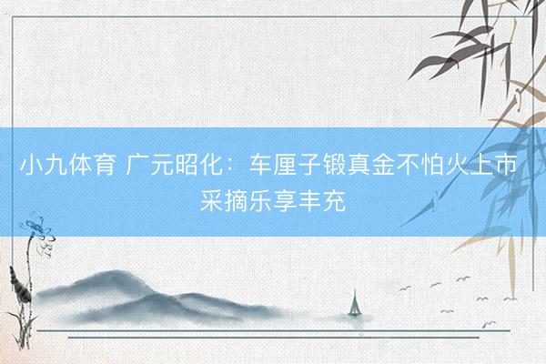 小九体育 广元昭化：车厘子锻真金不怕火上市 采摘乐享丰充