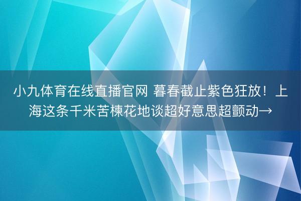 小九体育在线直播官网 暮春截止紫色狂放！上海这条千米苦楝花地谈超好意思超颤动→