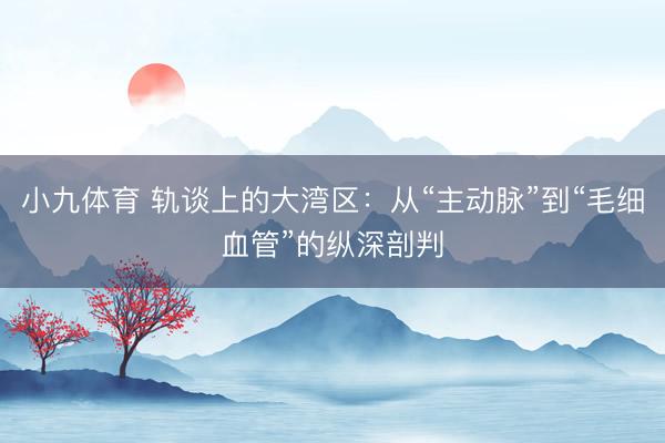 小九体育 轨谈上的大湾区：从“主动脉”到“毛细血管”的纵深剖判