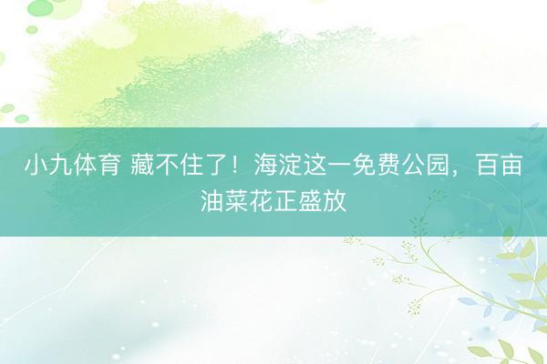 小九体育 藏不住了！海淀这一免费公园，百亩油菜花正盛放