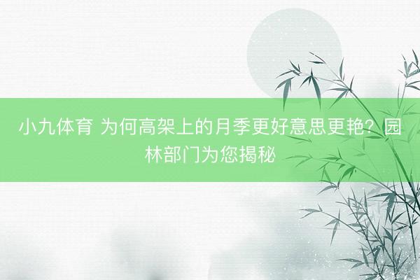 小九体育 为何高架上的月季更好意思更艳？园林部门为您揭秘