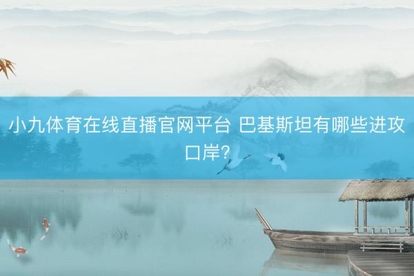 小九体育在线直播官网平台 巴基斯坦有哪些进攻口岸？