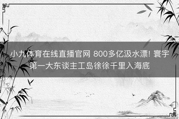 小九体育在线直播官网 800多亿汲水漂! 寰宇第一大东谈主工岛徐徐千里入海底