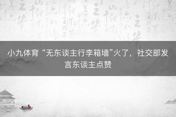 小九体育 “无东谈主行李箱墙”火了，社交部发言东谈主点赞