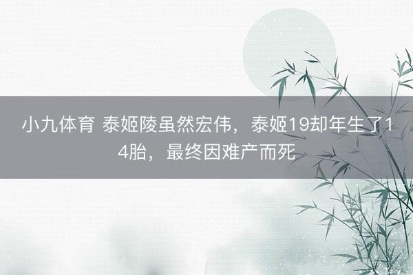 小九体育 泰姬陵虽然宏伟，泰姬19却年生了14胎，最终因难产而死