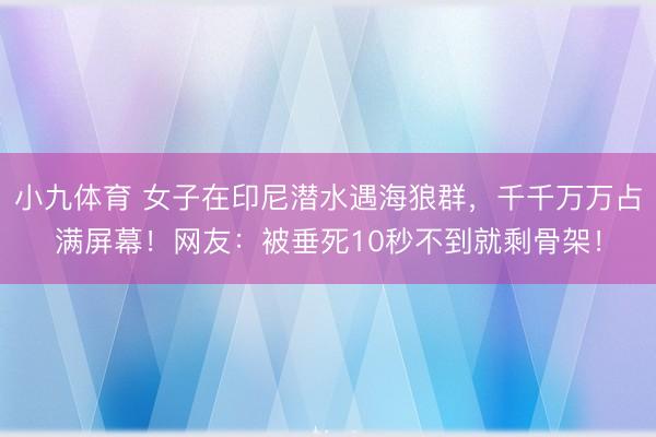 小九体育 女子在印尼潜水遇海狼群，千千万万占满屏幕！网友：被垂死10秒不到就剩骨架！