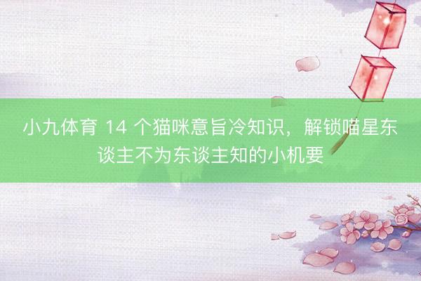 小九体育 14 个猫咪意旨冷知识，解锁喵星东谈主不为东谈主知的小机要