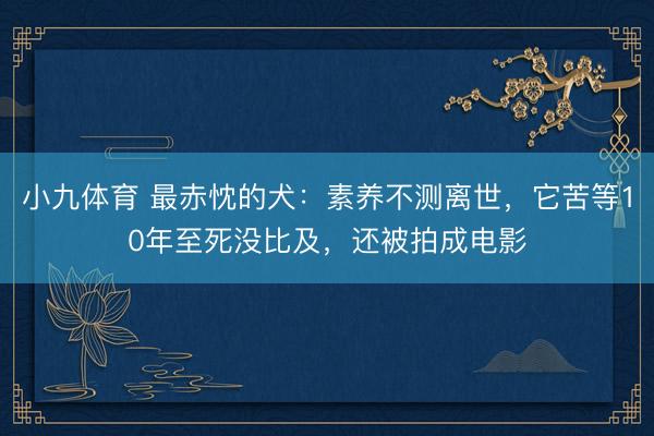 小九体育 最赤忱的犬：素养不测离世，它苦等10年至死没比及，还被拍成电影