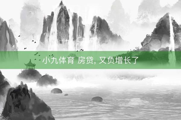 小九体育 房贷, 又负增长了