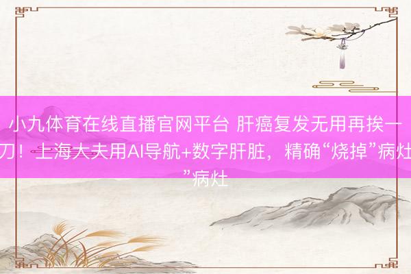 小九体育在线直播官网平台 肝癌复发无用再挨一刀！上海大夫用AI导航+数字肝脏，精确“烧掉”病灶