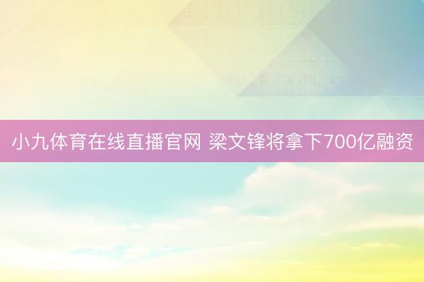 小九体育在线直播官网 梁文锋将拿下700亿融资