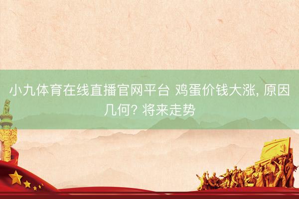 小九体育在线直播官网平台 鸡蛋价钱大涨， 原因几何? 将来走势