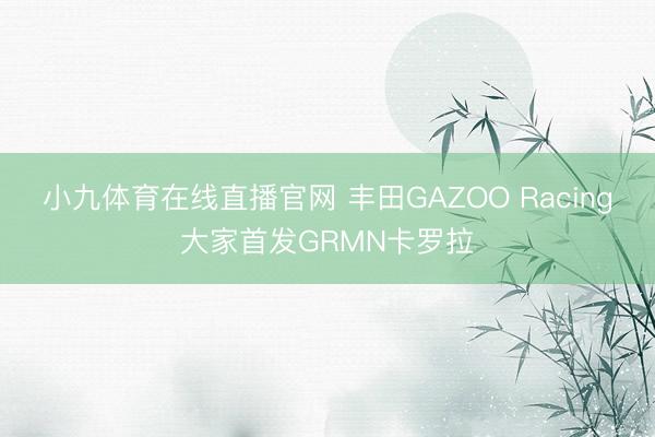 小九体育在线直播官网 丰田GAZOO Racing大家首发GRMN卡罗拉
