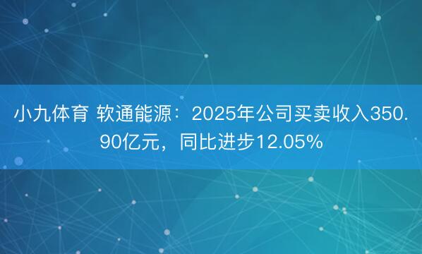 小九体育 软通能源:2025年公司买卖收入350.90亿元,同比进步12.05%