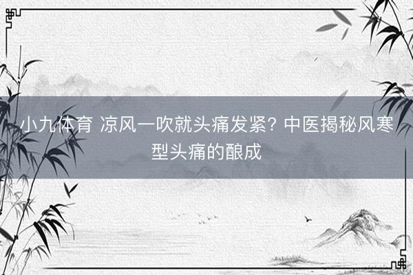 小九体育 凉风一吹就头痛发紧? 中医揭秘风寒型头痛的酿成
