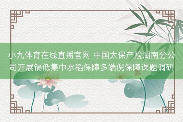 小九体育在线直播官网 中国太保产险湖南分公司开展镉低集中水稻保障多端倪保障课题调研
