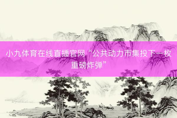 小九体育在线直播官网 “公共动力市集投下一枚重磅炸弹”
