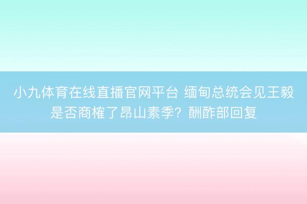 小九体育在线直播官网平台 缅甸总统会见王毅是否商榷了昂山素季？酬酢部回复
